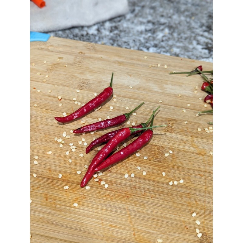 Fresh Cayenne (Cayenetta) Organic Pepper Seeds