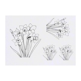 4 x ' Boquet of Daffodils' Temporary Tattoos - Water Resistant, Skin-Safe, Non-Toxic Transfers, Mixed Sizes (TO00076428)