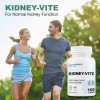 Puregen Labs Kidney-Vite *Premier Kidney, Renal Support* 100 Vegetarian Tablets