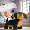PMS Sausage Dachshund Plush Toy 30cm Soft Stuffed Animal