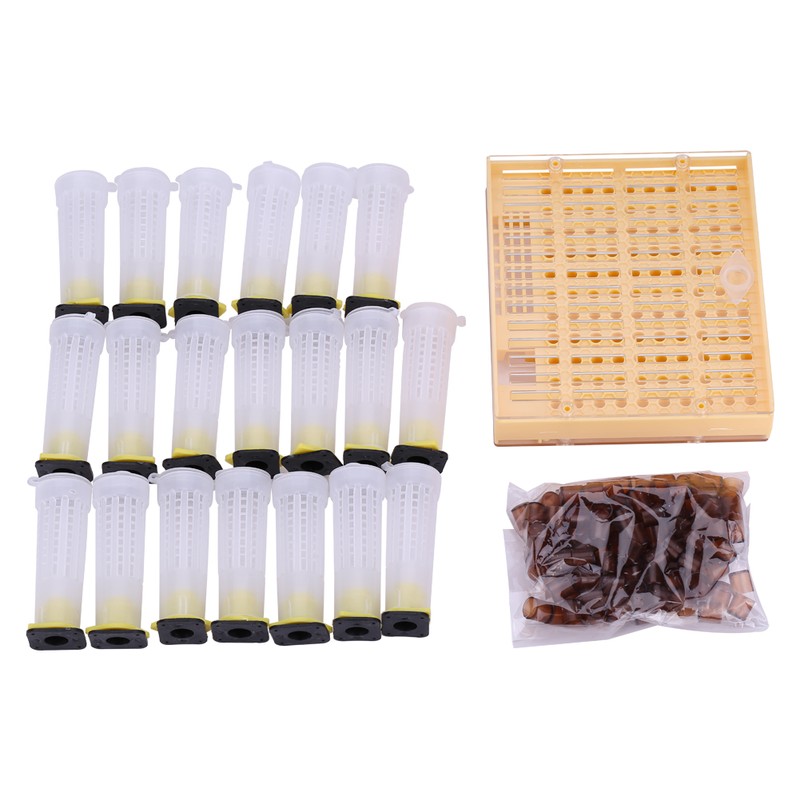 Queen Rearing Cup Kit Bee Cultivating Tool Plastic Beekeeping Box
