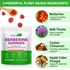 Berberine Gummies with Ceylon Cinnmon, Berberine Supplement for Digestive Health,
