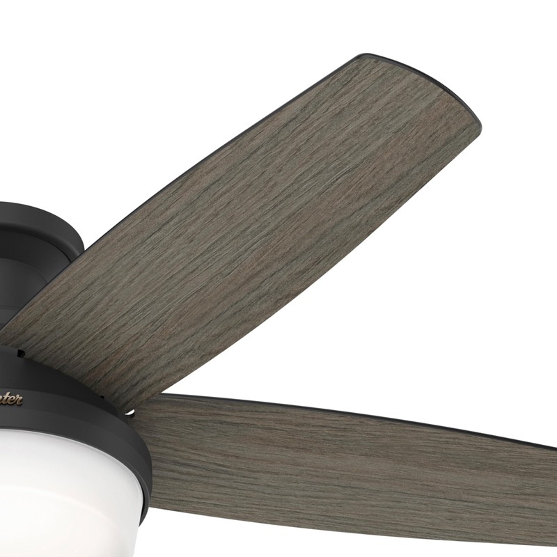 Hunter Fan 48 Inch Black Ceiling Fan with LED Light