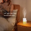 300ml Air Humidifier Mist Maker Sprayer Night Light USB Plug