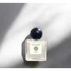 Fog dawn scent [dawn air] - 30ml / 안개 핀