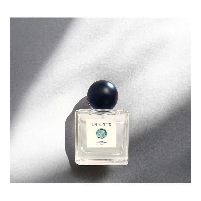 Fog dawn scent [dawn air] - 30ml / 안개 핀