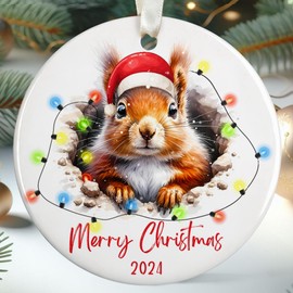Squirrel Ornament - Squirrel Christmas Ornaments, Squirrel Ornaments for Christmas Tree - Squirrel Gifts, Animal Lover Gifts - Gifts for Squirrel Lover - Ceramic Squirrel Christmas Ornament 2024