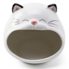Ceramic Cat Sponge Holder for Kitchen Sink – Cute Sponge