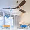 wodiston 60'' Outdoor Ceiling Fan no Light,Brushed Nickel with Plastic