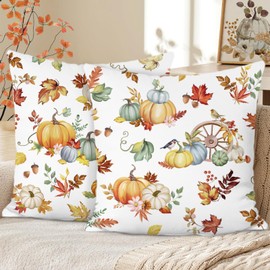 Bonhause Autumn Pumpkin Cushion Covers 45 x 45 cm Blue Orange Pumpkins Fall Leaves Soft Velvet Decorative Throw Pillow Covers for Sofa Bed Home Garden Patio Decor Set of 2