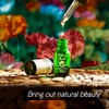 HEALTREE Clove Bud Essential Oil - 100% Pure Clove Oil