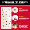 Catchmaster Cricket XL Giant Glue Boards 6-Pk, Adhesive Bug Catcher