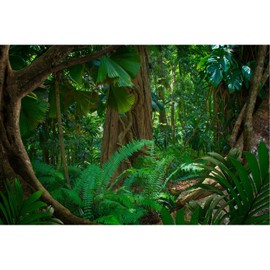 Terrarium Background Rainforest Aquarium Background Tropical Forest Lush Jungle Huge Tree Terrarium Background Jungle Style Reptile Habitat Background Fish Tank Backdrop Vinyl Decor 24x16in