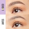 Maybelline Nuevo Gel de cejas de larga duración, efecto laminado,