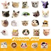 100 Pieces Funny Funny Cat Stickers Set, Cute Cat Stickers,
