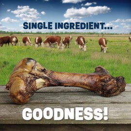 PUPDAWGS Dog Bones for Aggressive Chewers | 12-14" Hickory Smoked Flavor Beef Femur Bone | Dog-Bones-for-Large-Dog | All Natural Dog Bone Treats Made in The USA (Single Bone)