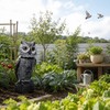 Owl Decoy for Bird Deterrent – Shake Head Garden Scarecrow