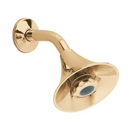 American Standard 1660.715.099 Flowise Styled Water Saving Showerhead, Polished Brass