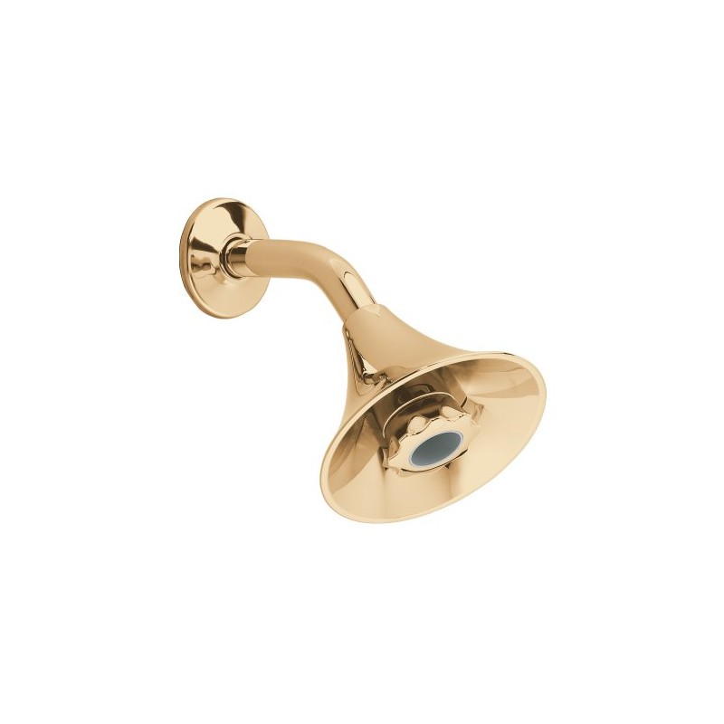 American Standard 1660.715.099 Flowise Styled Water Saving Showerhead, Polished Brass