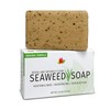 Reviva Original Formula Seaweed Soap 4.5 OZ. (127.5 G), Naturally