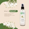 Tea Tree Hydrosol (Floral Water) - 1 Gallon Plastic Jug