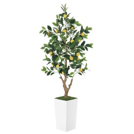 PHYTREE 5FT Artificial Lemon Tree with Pot - 60" Fake Lemon Tree with White Tall Planter, Faux Lemon Plant with Realistic Fruits and Silk Leaves, Artificial Plants Indoor for Home Office Kitchen Decor