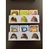 Organizer Insert for Catan Base Game, Cities & Knights, Seafarers,