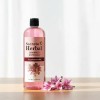 Shampoo Anticaída Y Regenera Cacahuanache Secreto Herbal 1l