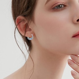 Abalone Hoop Earrings for Women Girls Sterling Silver Small Nordic Filigree Earrings Hoop Jewellery Fashion Small Hoop Earrings Gifts, Sterling Silver, Abalone