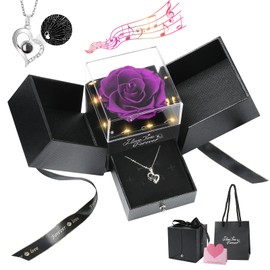 Emibele Necklaces Rose Box, Necklace Made of 925 Silver with 100 Languages for Mother Girlfriend, Rose Box Music Box with Preserved Flowers & Light for Birthday, Christmas Day, Gift - Purple + Silver