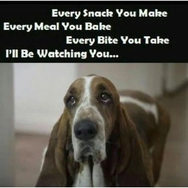 Funny Basset Hound  refrigerator magnet 3 1/2x 4 1/2 " Made in  USA
