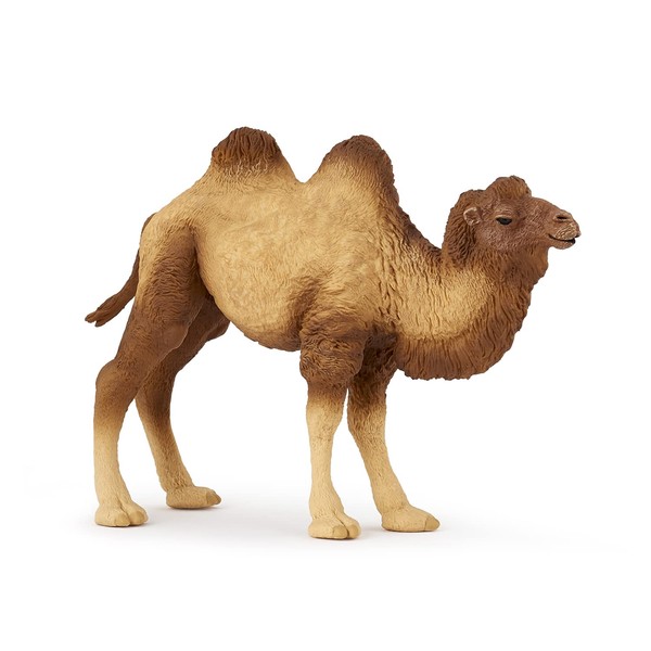 Papo - Collectable figures - Bactrian Camel - Dromadary - Wild Animals - For Children - Girls and Boys - Ages 3 and up