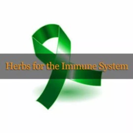 Herbs for Your Immune System - Small