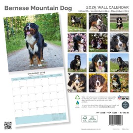 Baker and Bray Bernese Mountain Dog Calendar 2025, Large Square Wall Calendar, 16 Month, Bernese Mountain Dog Gift Dog Calendar.