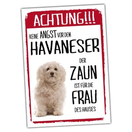 Havanese Dog Sign Warning Fence Woman Saying Door Sign Dog Sign Warning Sign Gift Idea Funny Saying Dog Motif Aluminium Weatherproof Dog Sign