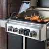 Rosenstein & Söhne Oven Thermometer: Smart Grill & Roasting Thermometer,