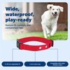 PetSafe Replacement Collar Strap with 2 Holes - Adjustable Design