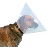 Beeztees Plastic Dog Cap 22-25 7, 5 cm