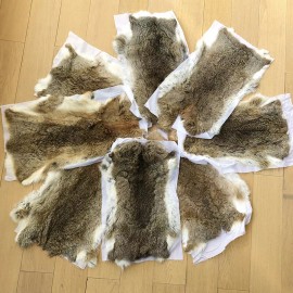 Unbranded 5X Real Rabbit Skin Pelts Natural Animal Fur Hides Soft Tanned Leather Craft DIY