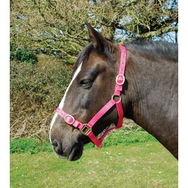 Rhinegold Nylon Headcollar - Pony - Raspberry