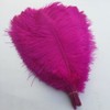 Shekyeon Fuchsia 16-18inch 40-45cm Ostrich Feather DIY Craft Feather Pack
