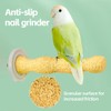 Bird Toys Stand Perch Set: Interactive Wheel & Standing for