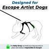 Escape Proof Dog Harness and Leash Set, Lightweight Dog Harness