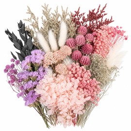 Natural Dried Flowers for Crafts, Colourful Flower Kit for Resin Art DIY