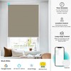 Changshade Motorized Cellular Shades with Remote Control Smart Blinds Compatible