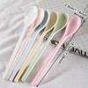 BSITSSS 6 Pieces Spoons Reusable, Pure Colour Teaspoons, Dessert Spoons