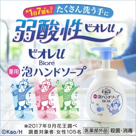 Foam Stamp, Hand Soap, Heart-Shaped Type, 8.5 fl oz (250 ml) + 1.9 Refills, 12.8 fl oz (380 ml)