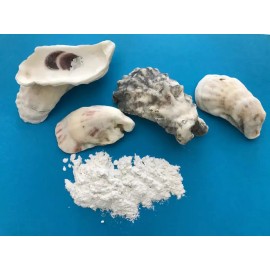 CR product 5-lbs organic oyster shell powder plant fertilizer/chi