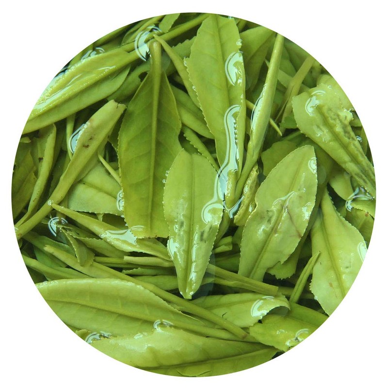 GOARTEA Green Tea 100g / 3.5oz Supreme Grade Anji White