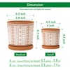 D'vine Dev Set of 2 Terracotta Pots, 4 Inch &